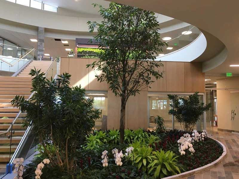 Plant Scapes For Atriums