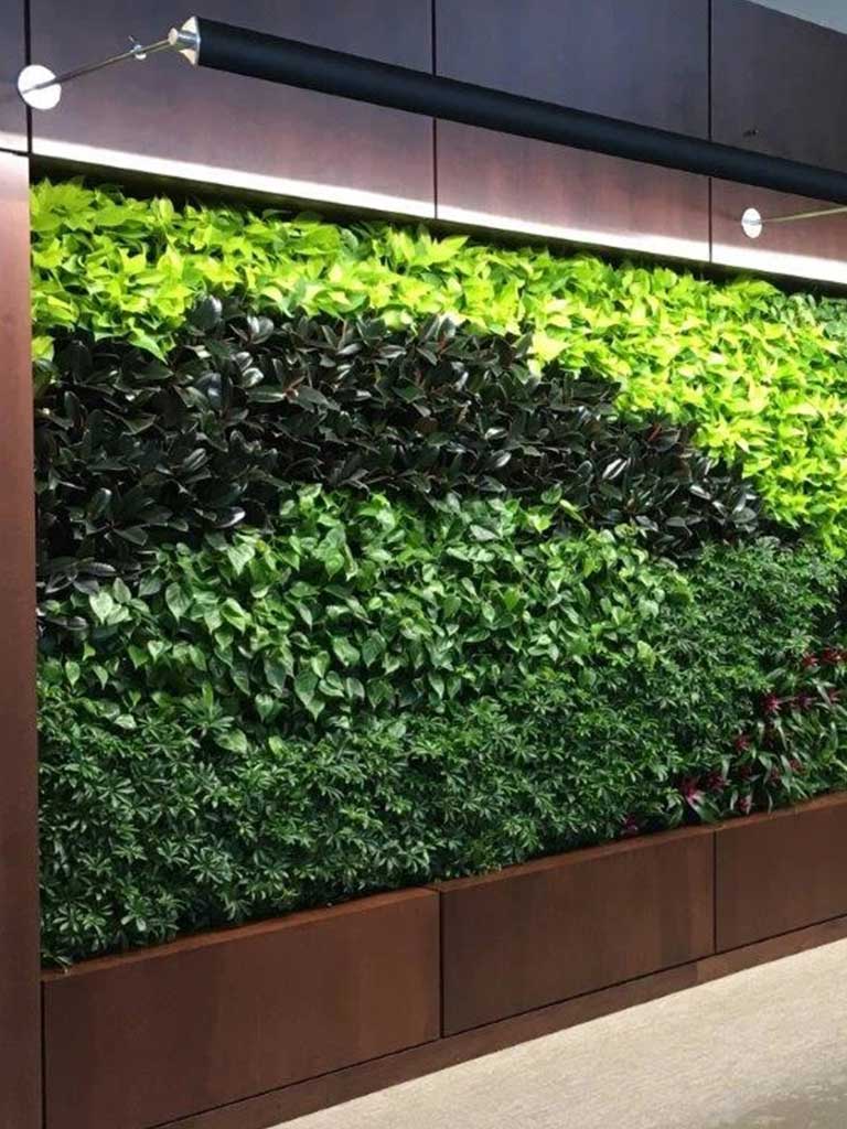 Interior Plant Scapes, Appleton Wisconsin