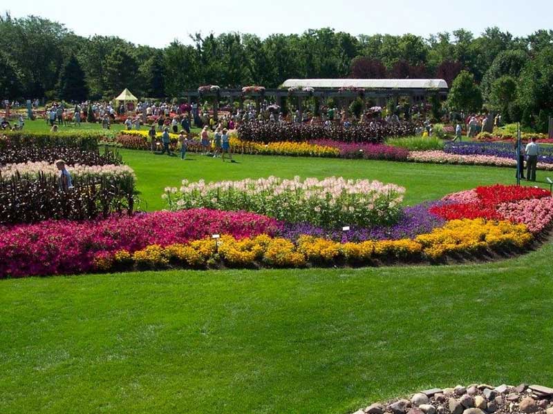 Plant Scaping Building Exterioes