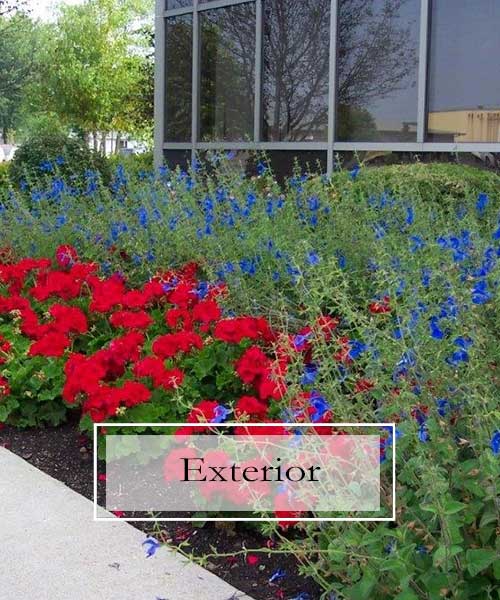 Plants For Building Exteriors, Interior Plant Scapes