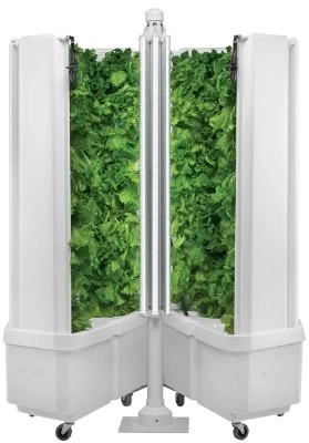Flex Farm Technology, Interior Plant Scape of Wisconsin