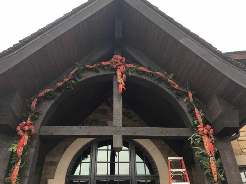 Plant Scapes For Holidays