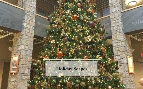 Holiday Plant Scapes, Indoor Holiday Plant Scape, Outdoor Holiday Plant Scape
