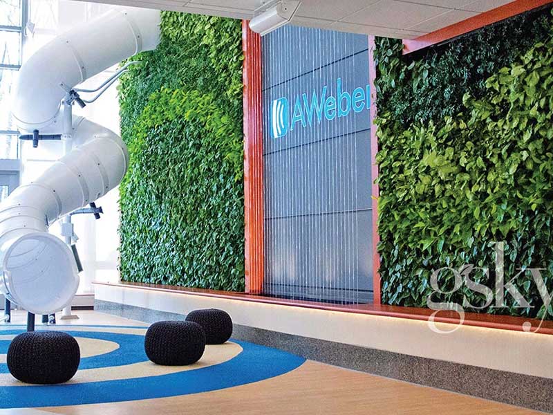 Interior-Plant-Scapes-Banner-12 Interior Plant Scapes, Plants Environments For Businesses