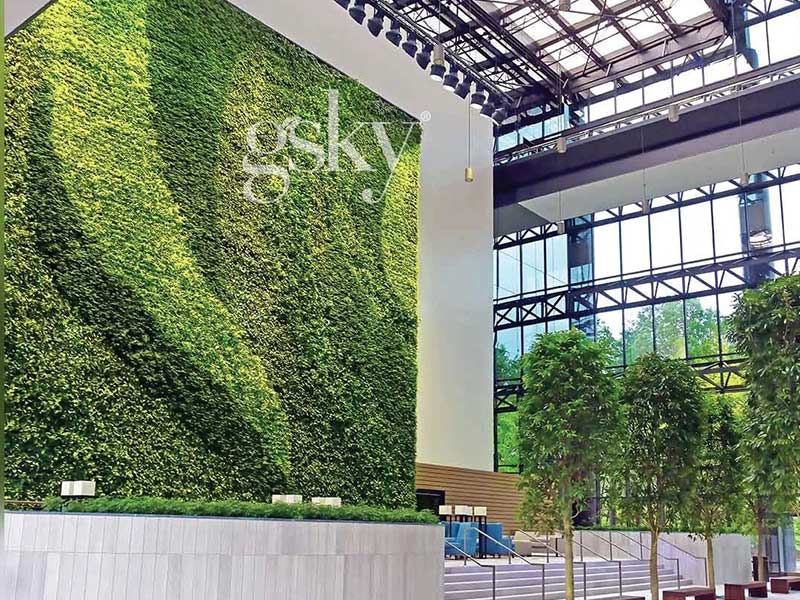 Living Plant Walls