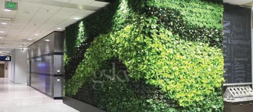DETROIT-1-WATERMARKED-GM nra489